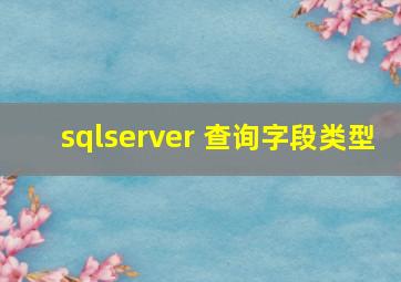 sqlserver 查询字段类型